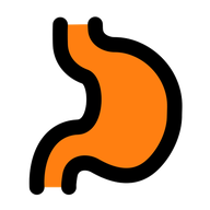 Stomach icon