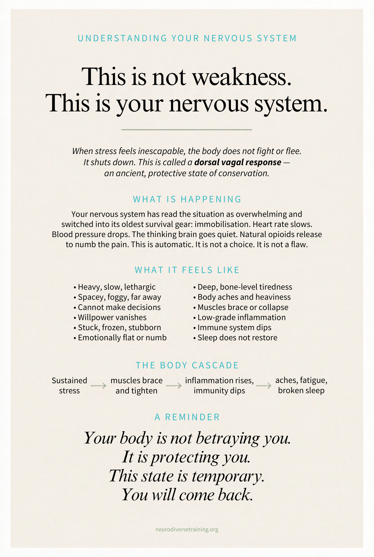 Dorsal Vagal Response Poster