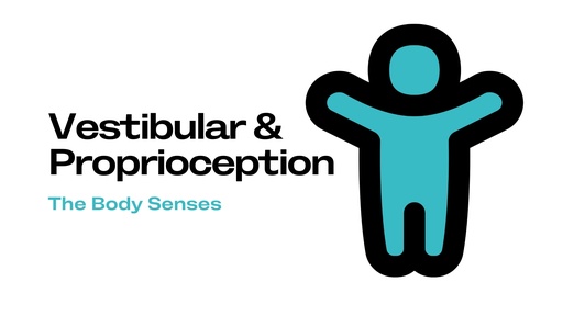 Vestibular & Proprioception (for Families)