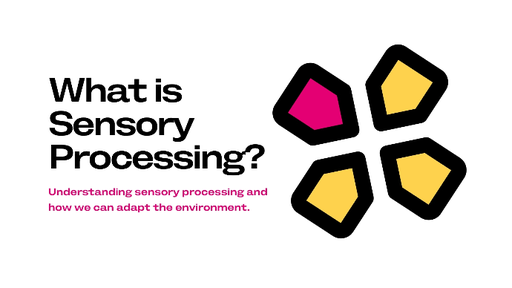 What is Sensory Processing